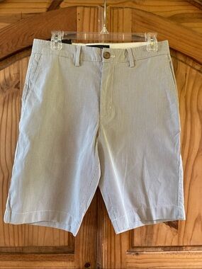 Men’s Banana Republic gray blue pinstripe long chino shorts size 29 - NWT